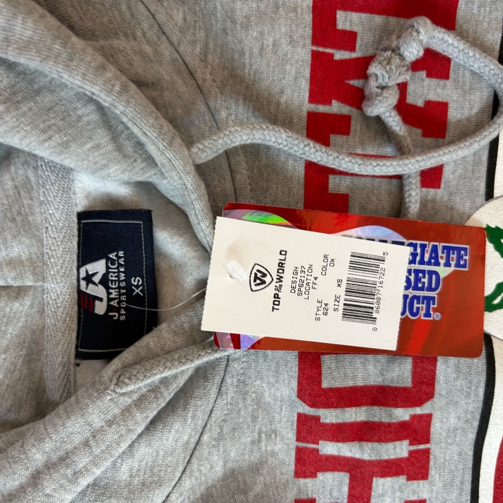 Top of the World Gray Hoodie with Red Accents - Picture 2 of 3